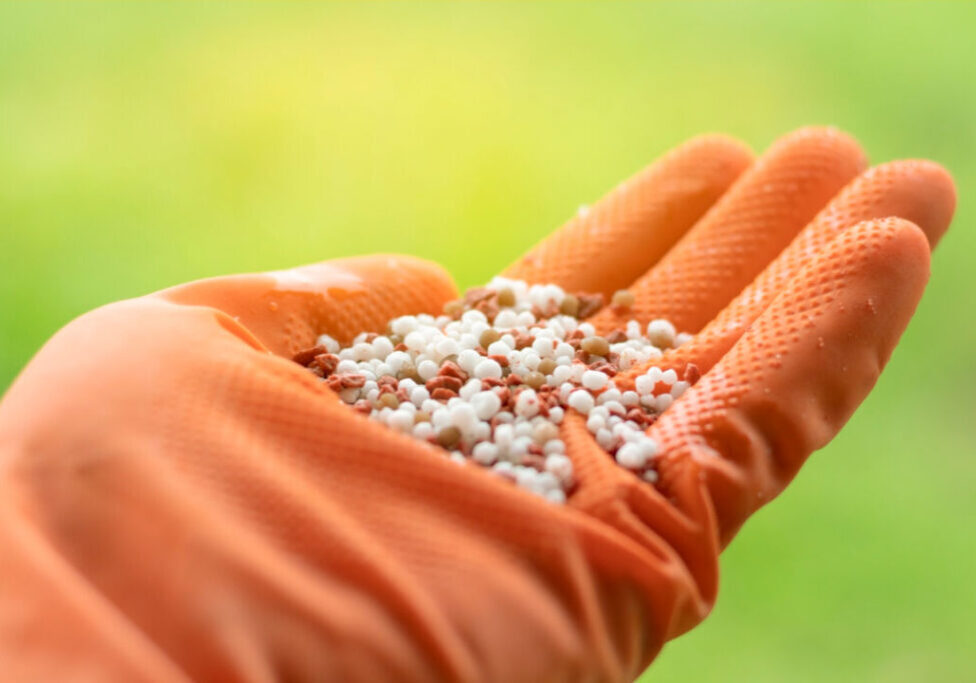 Fertilizante - adubo - Freepik