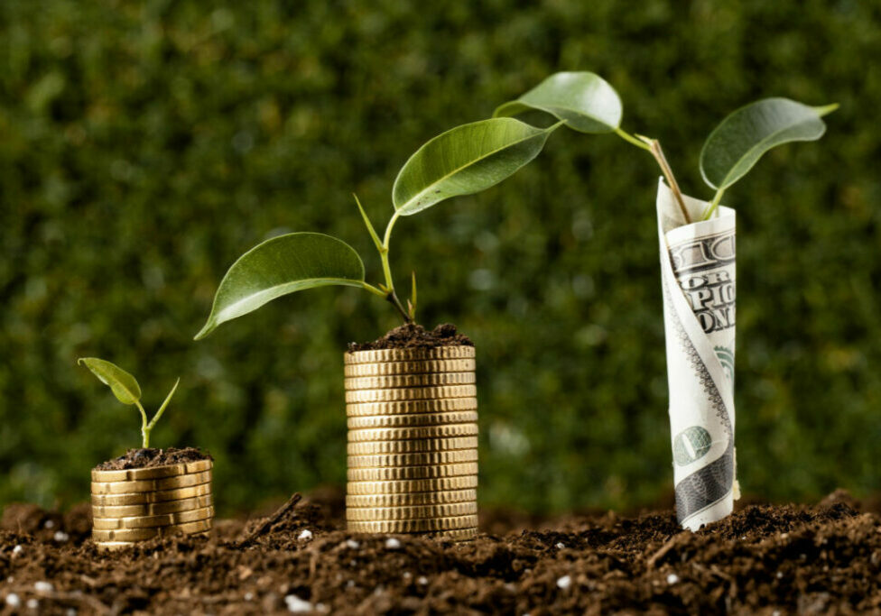 Financiamento agro - dólar - Freepik