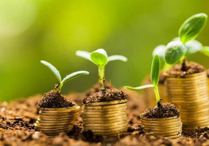 Financiamento-no-campo