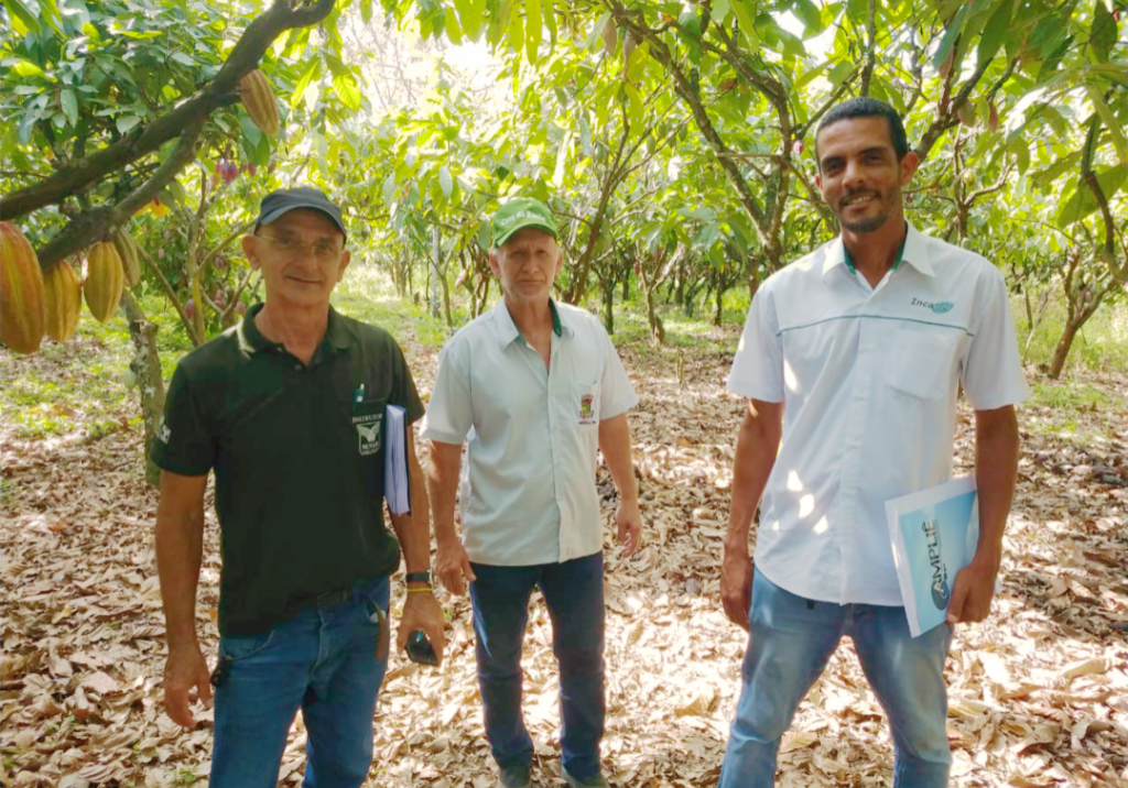 Foto-Cacau-1024x768-1