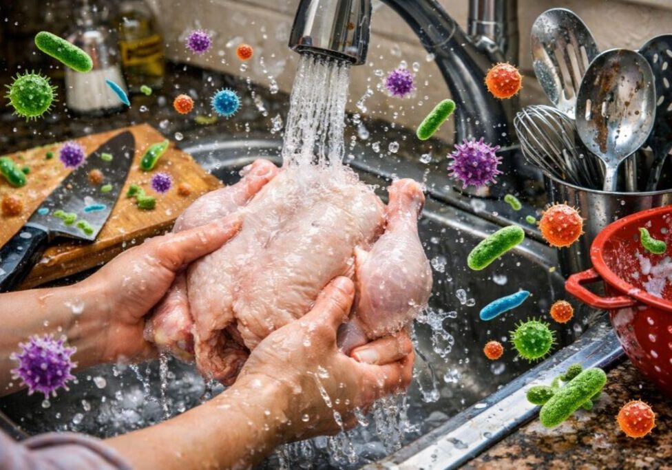 Frango - Bactéria - Doença - ChatGPT