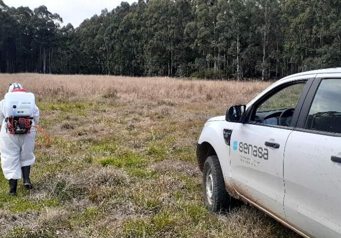 Gafanhotos-combate-em-terra