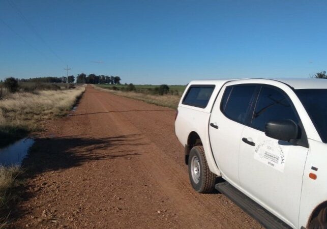 Gafanhotos monitoramento