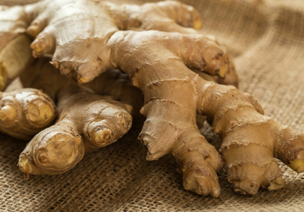 Gengibre - Freepik