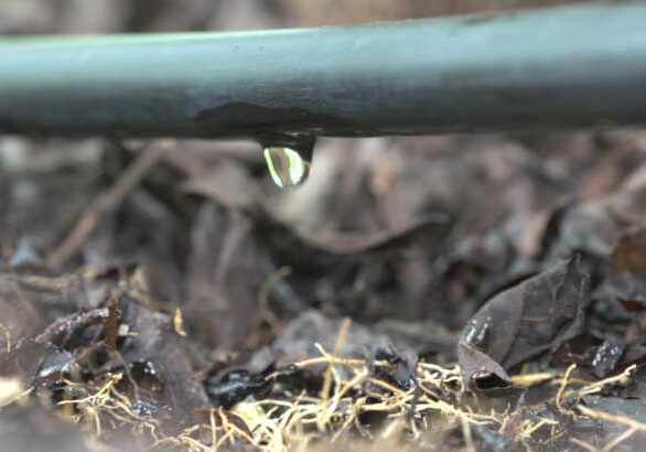 Gotejamento_imagem-divulgacao-Hydra