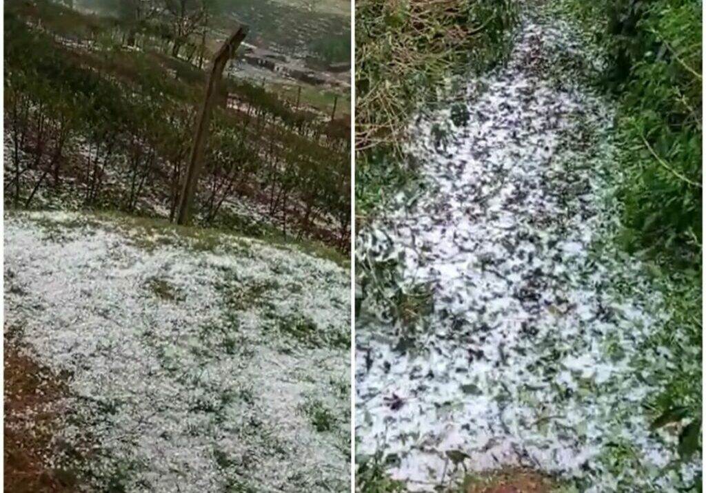 Granizo-destroi-lavouras