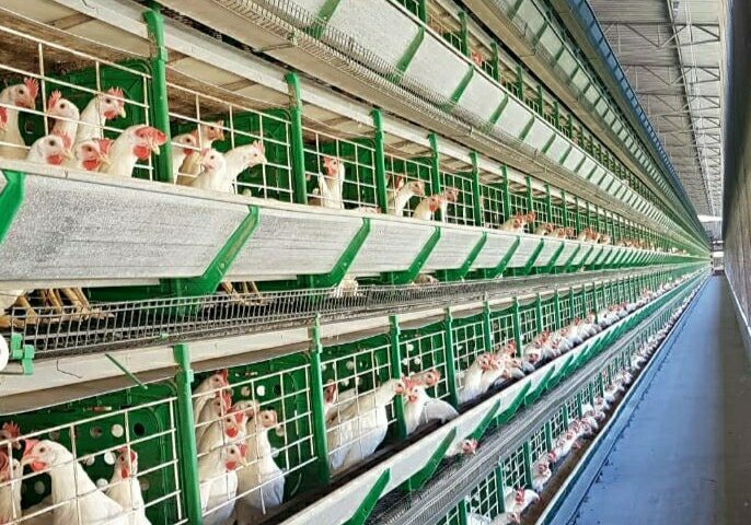 Granja-Santa-Maria-Bruno-Nandorf