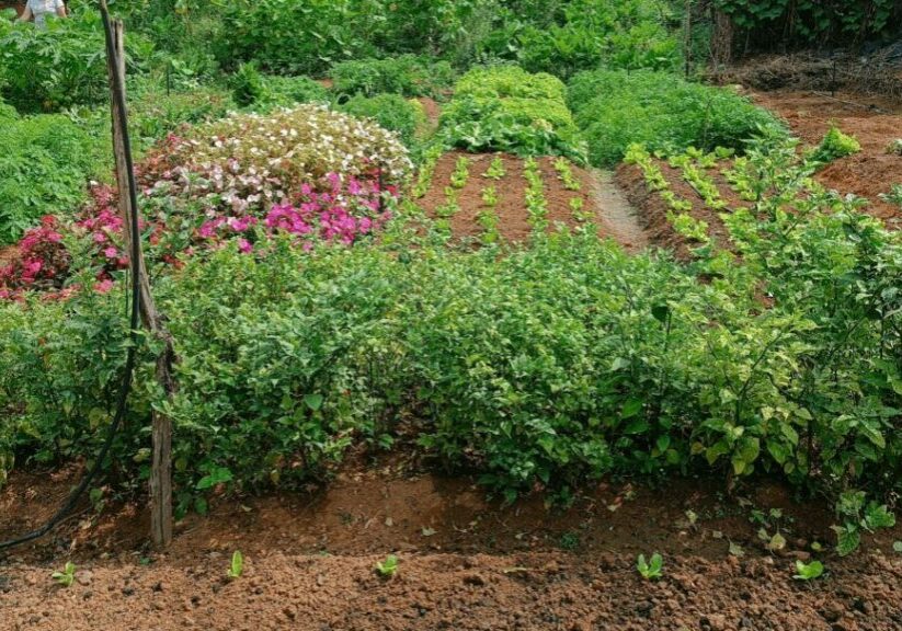 IMG_20220915_133228-2