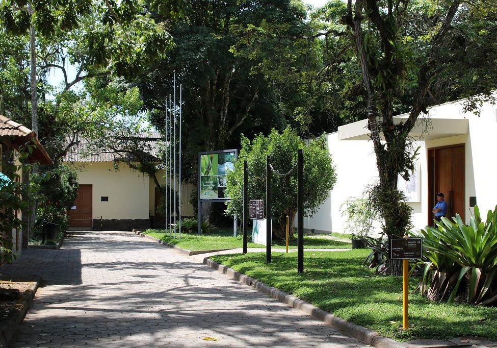 INMA-MUSEU