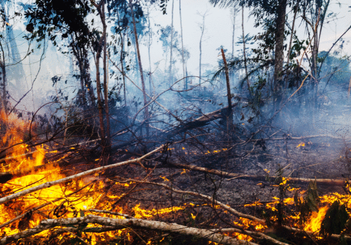 Incendio-Amazonia