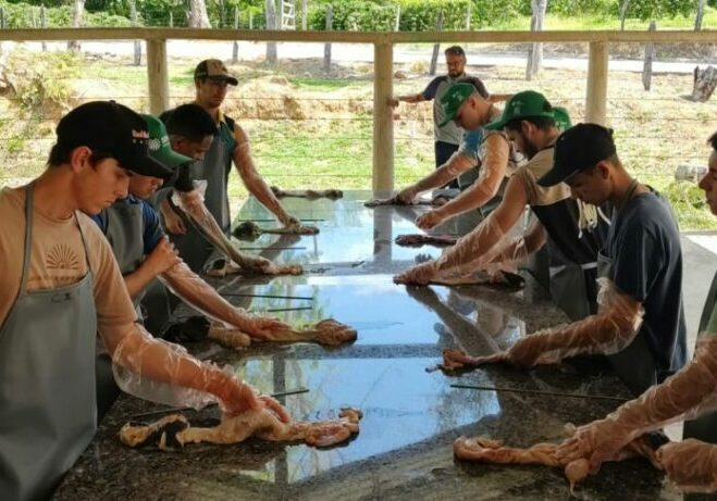 Inseminacao-artificial-bovina