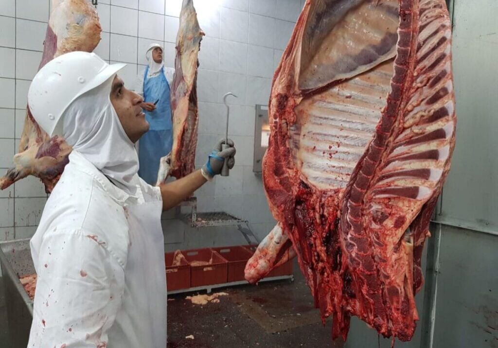 Inspeção Friogrifico Bovinos_Arquivo-Afagro