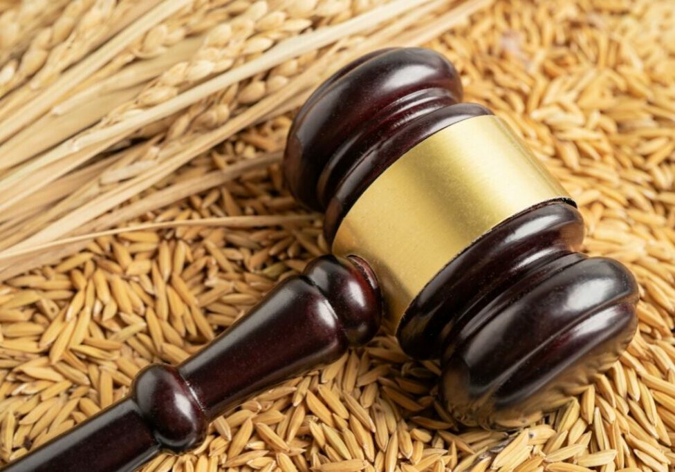 JUSTICA_AGRONEGOCIO_ENVATO