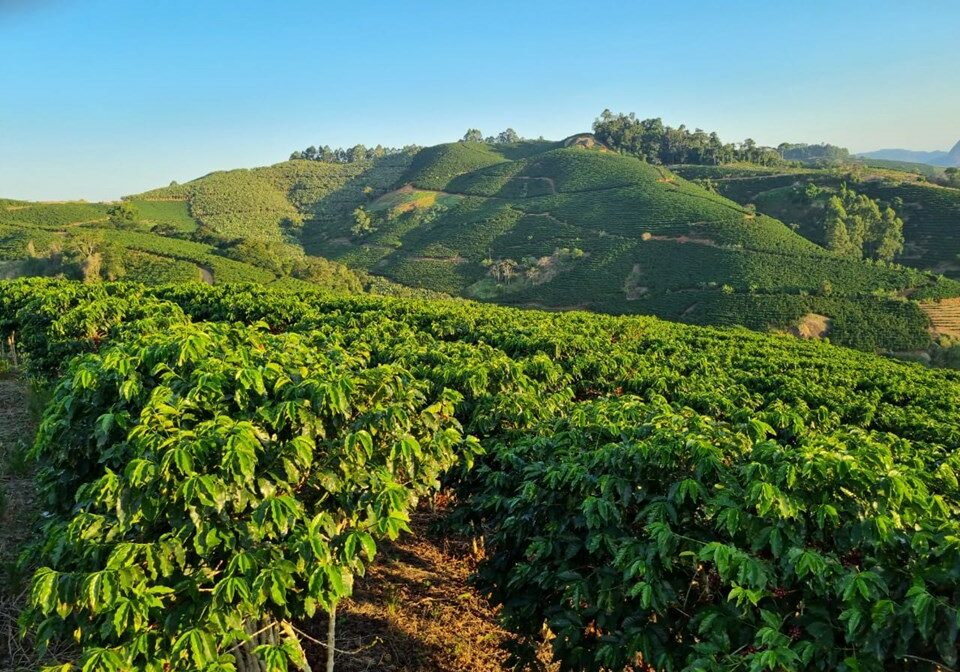 Lavoura-Santa-Teresa_Credito-Cassio-Venturini