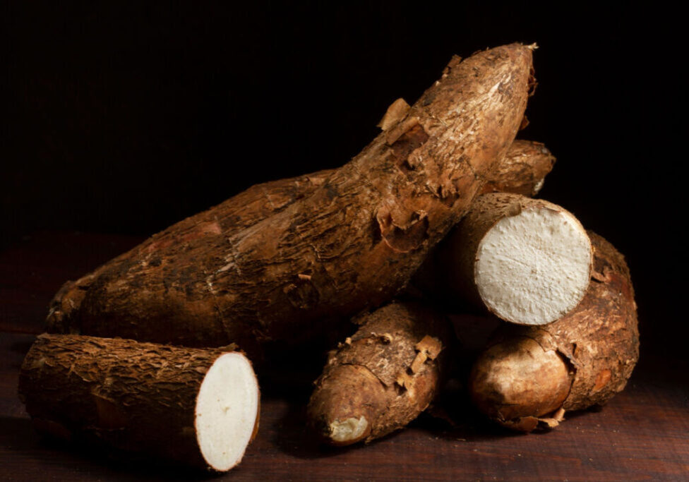 Mandioca - aipim - Freepik