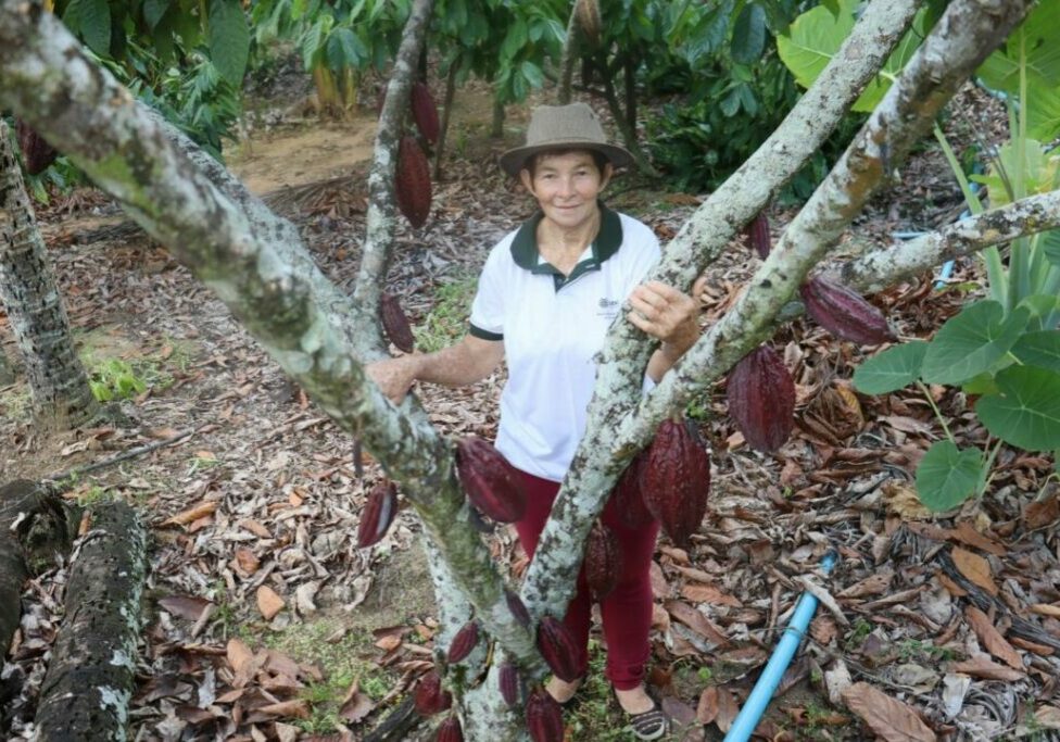 Maria-Loss-Produtora-de-cauca-de-Linhares