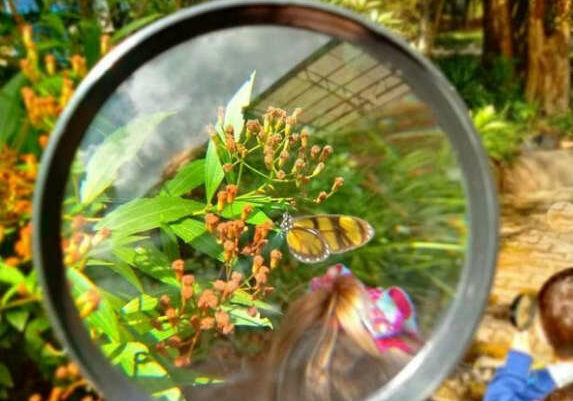 Meio-Ambiente-escola