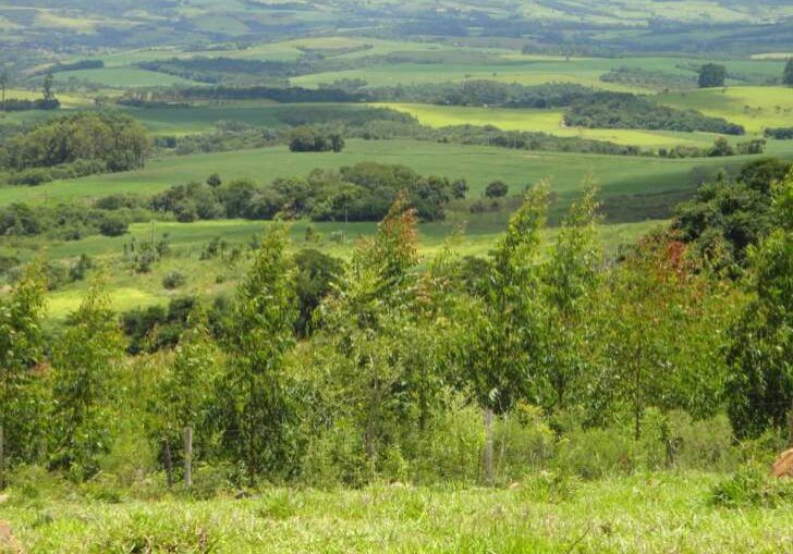 Meio-ambiente-agricultura