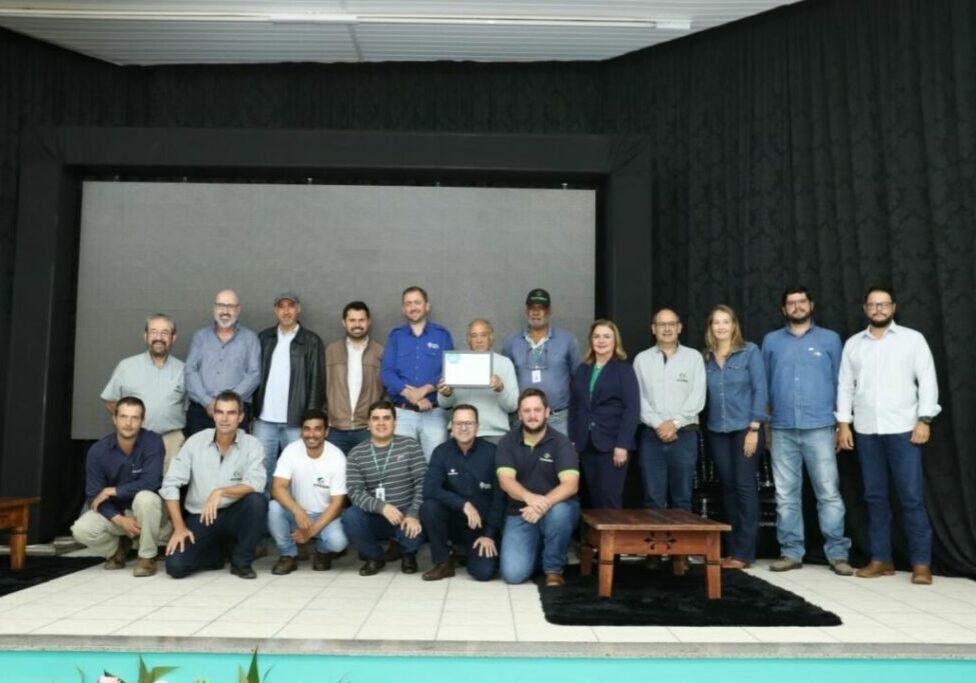 Melhoramento-do-cafe-do-cerrado