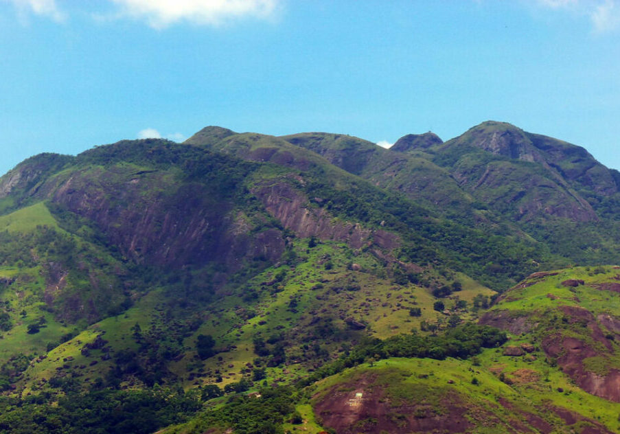 Mestre-Alvaro-Free-Denis-Rizzoli