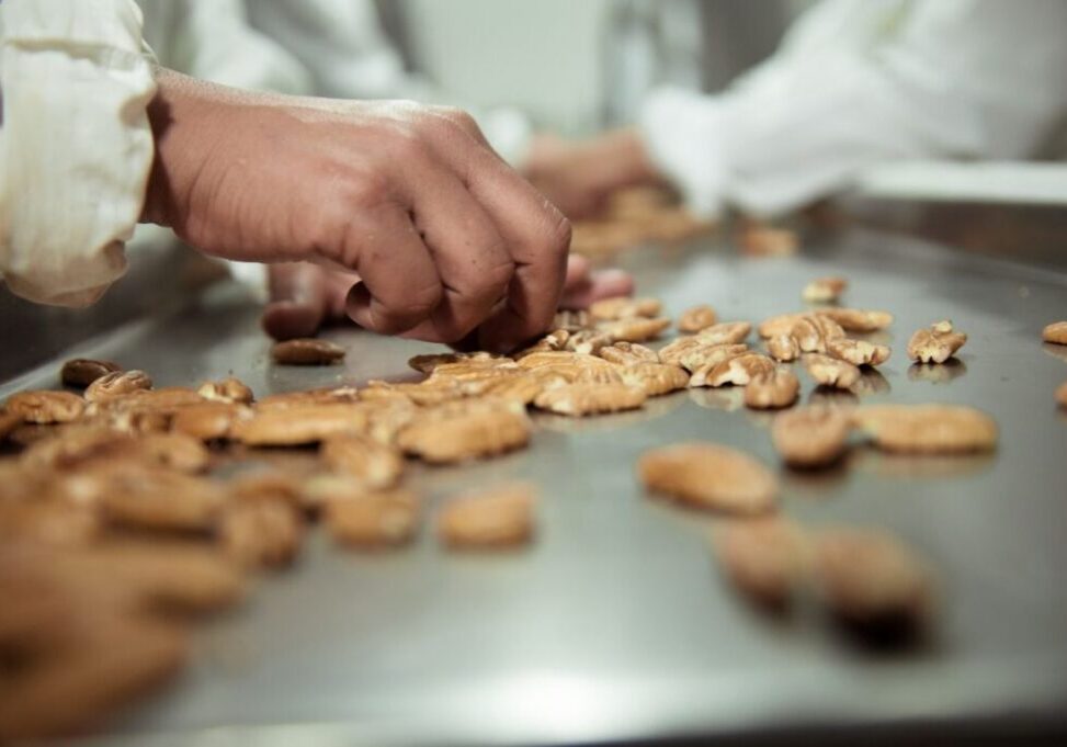 Noz_Pecan_Foto_Divulgação