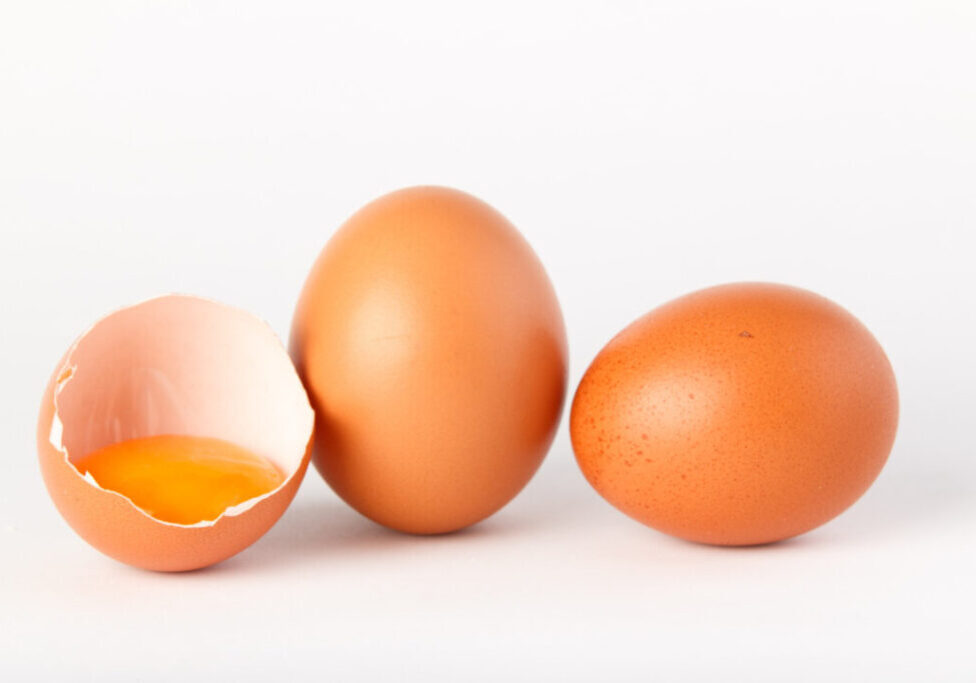 Ovo - Gema - Freepik