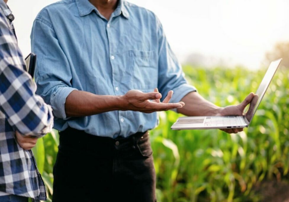 PESQUISA_AGRO_ENVATO