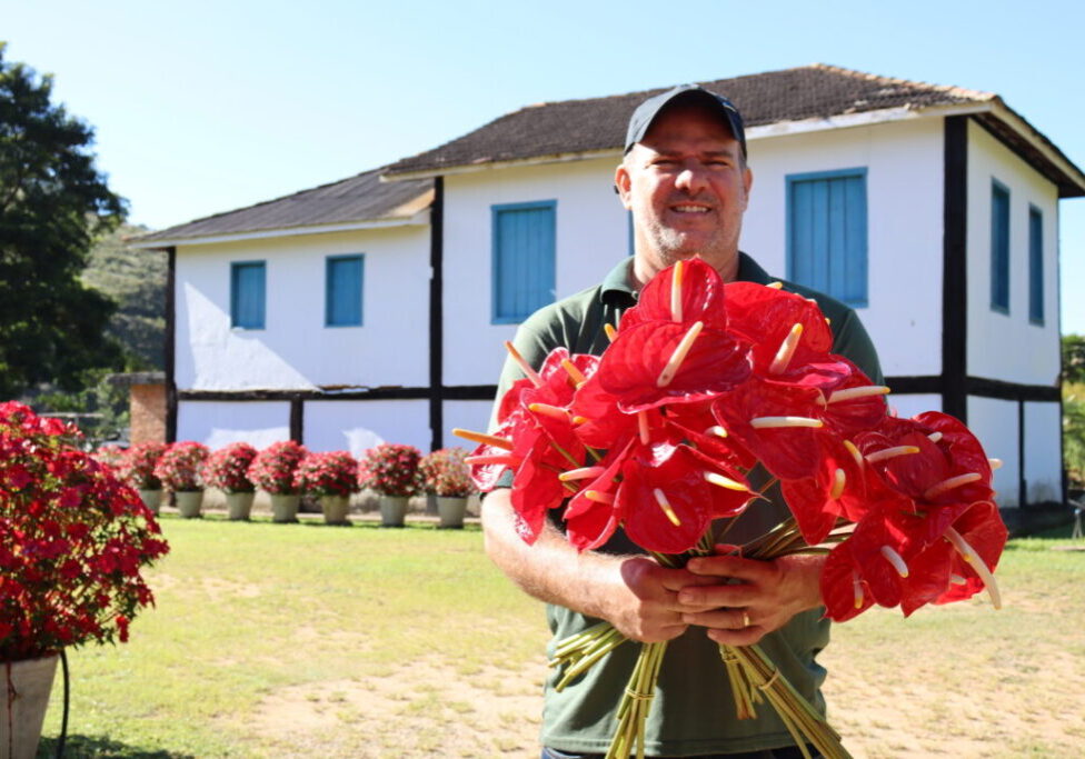 Página 12 - Principal