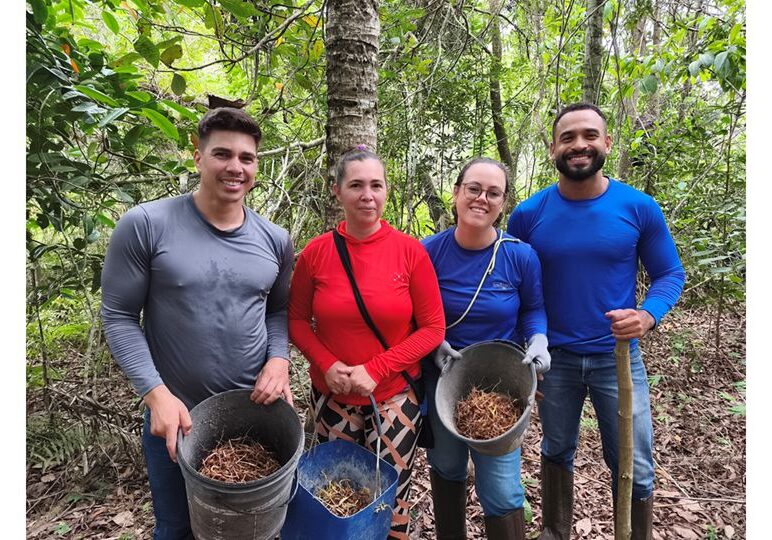 Palmeira_Juçara_Incaper