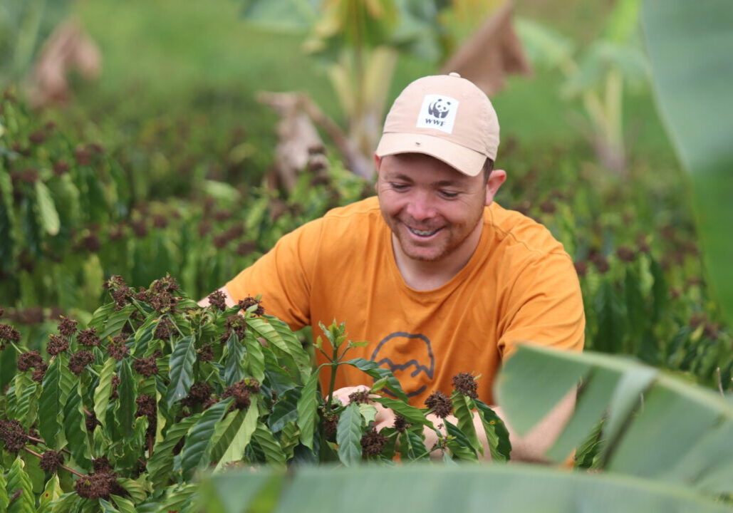 Paulo Gonçalves (1)