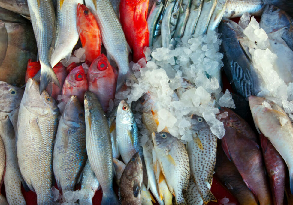 Pescado_FREEPIK