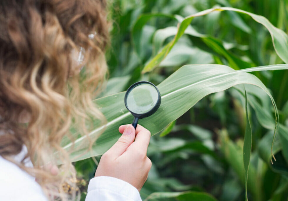 Pesquisa agrícola - pesquisadora - Freepik