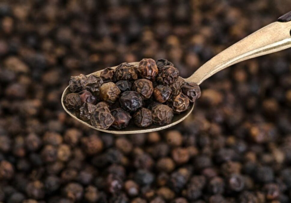 Pimenta-do-reino-Envato