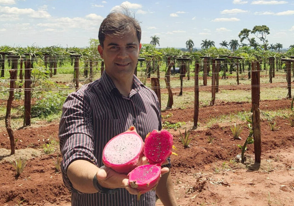 Pitaya capa