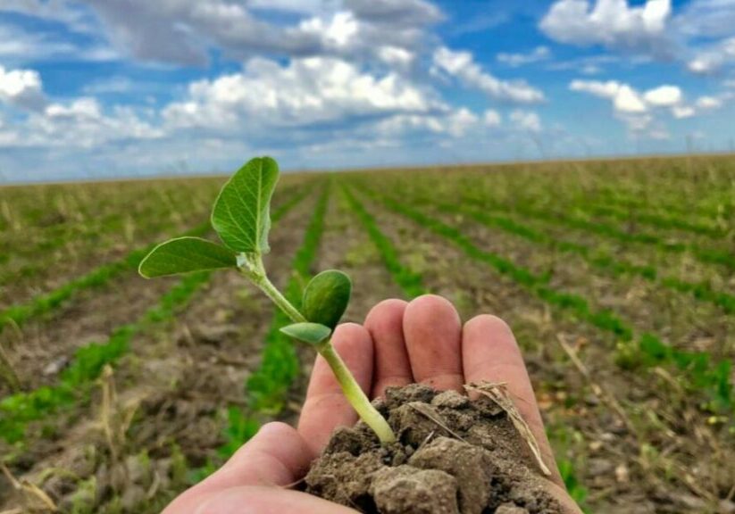 Plantio-de-soja