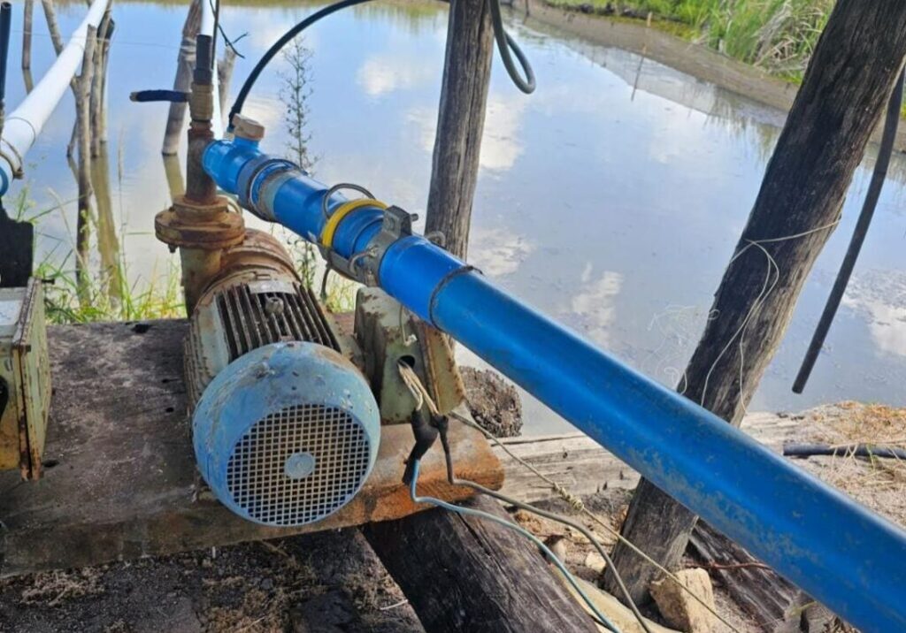 Polícia Civil e EDP flagram furto de energia elétrica em propriedades rurais, em Pinheiros - foto 2