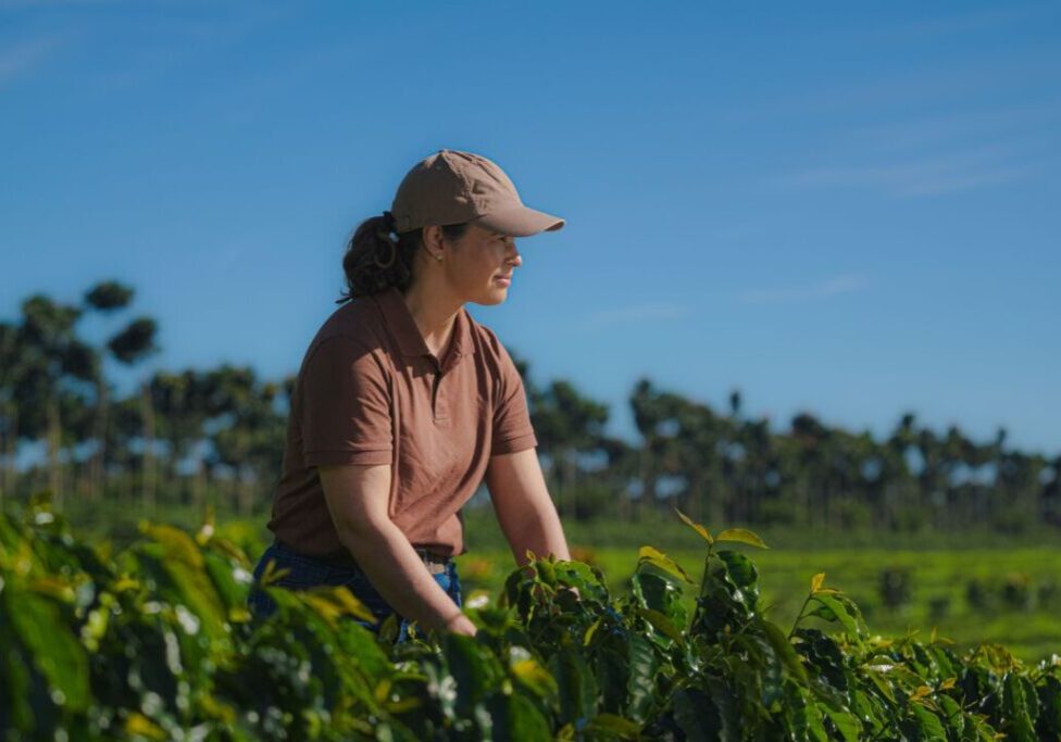 Produtora Elesandra Beloni Café Lavoura Café RegenerativoCerrado Mineiro