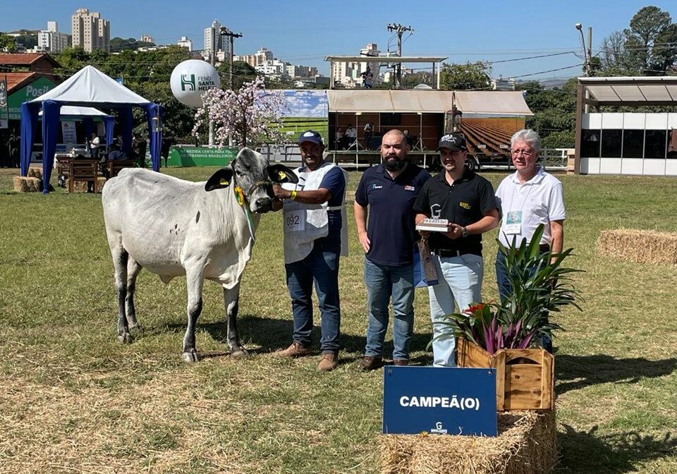 Produtores-Mimoso-do-Sul