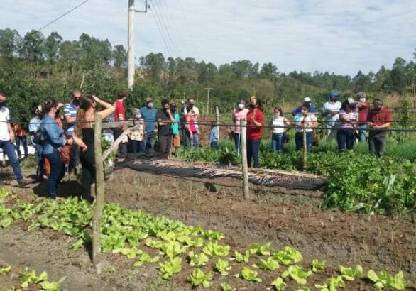 Produtores-de-Linhares-visitam-plantio-de-hortalicas-organicas-em-Nova-Venecia-1-1024x576-1