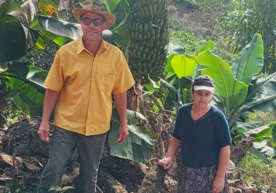 Produtores_Banana