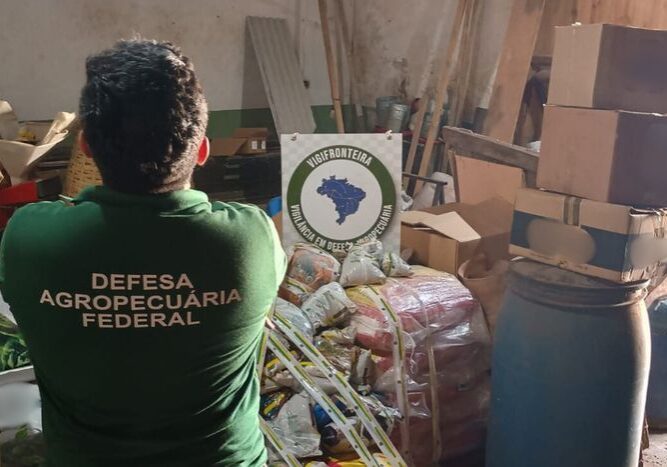 Produtos apreendidos