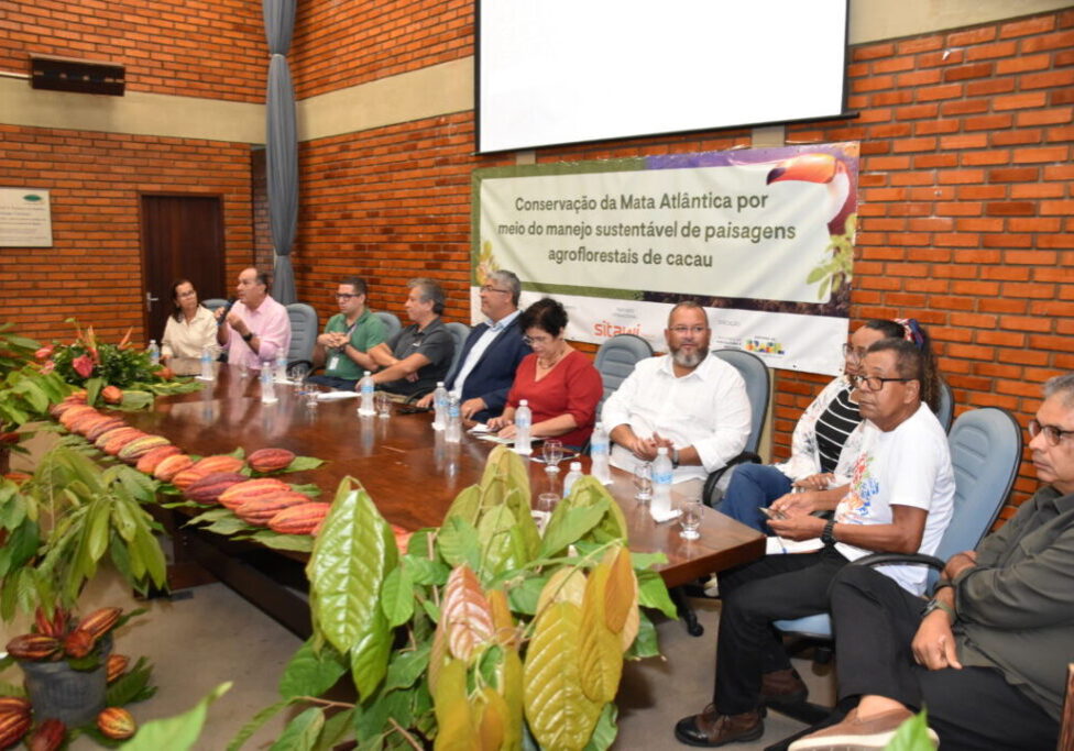Projeto Cacau - FAO