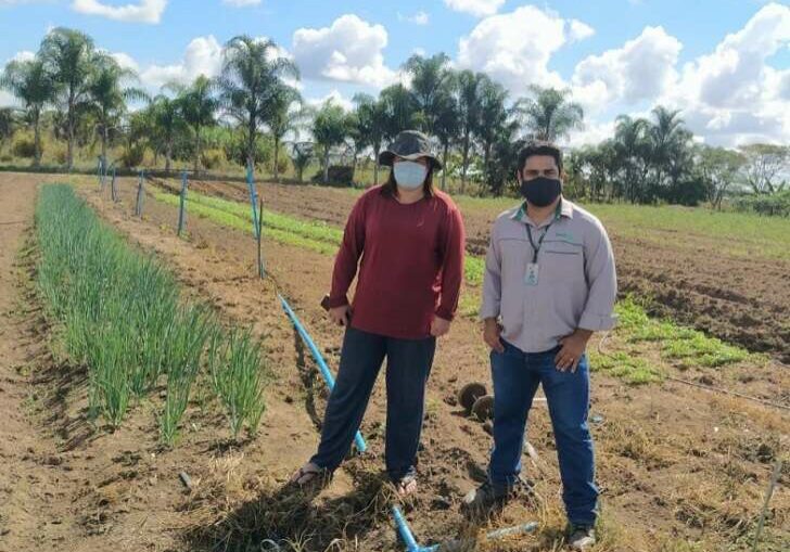 Projeto-Pedro-Canario_Credito-Divulgacao-Incaper