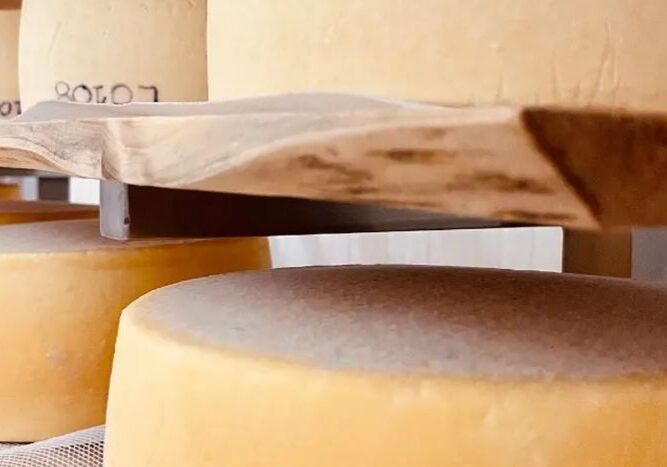 Queijaria Boca da Serra