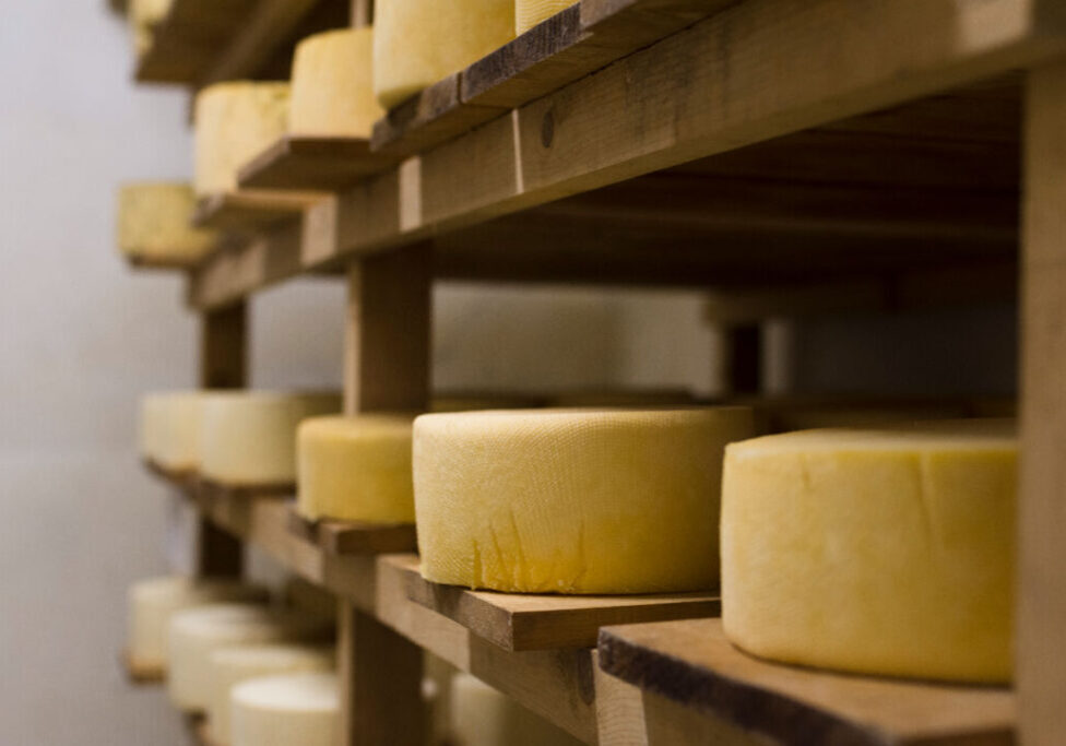 Queijo artesanal - Freepik