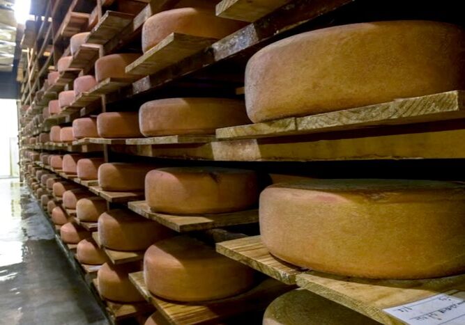 Queijo exportado - Divulgação