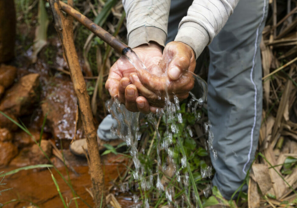 01 de outubro de 2018

Fundacao RENOVA | Expedicao Caminho da Reparacao

Na imagem, proprietario rural lavando as maos com agua de nascente que estava sendo recuperada

Imagem: NITRO Nitro Historiasi Visuais C*olatina/ES