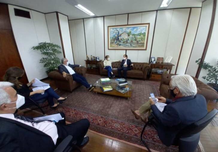 Reuniao-MAPA-1024x768-1