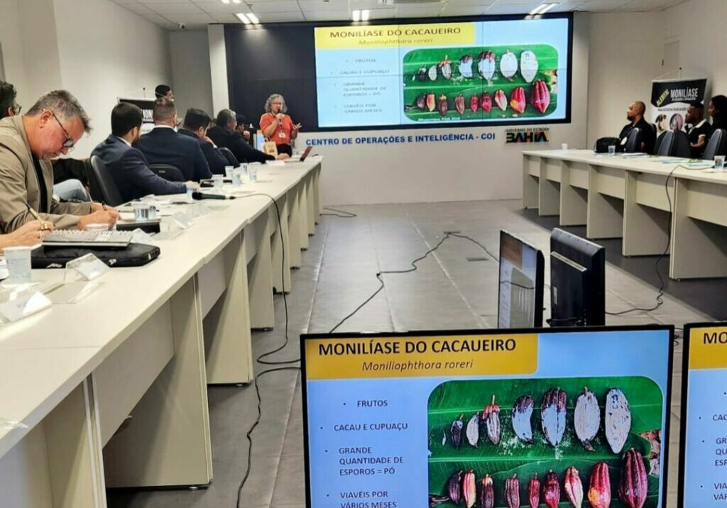 Reuniao-monaliase-do-cacaueiro