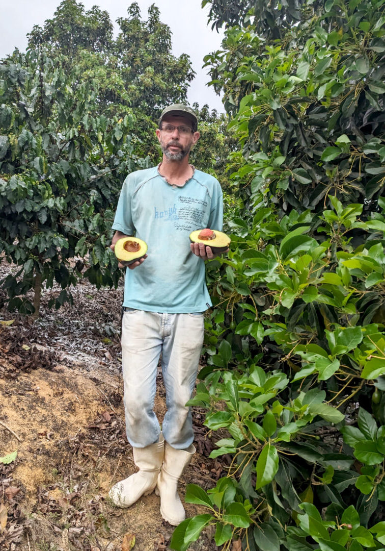 Sandro Afonso Cláudio - Principal